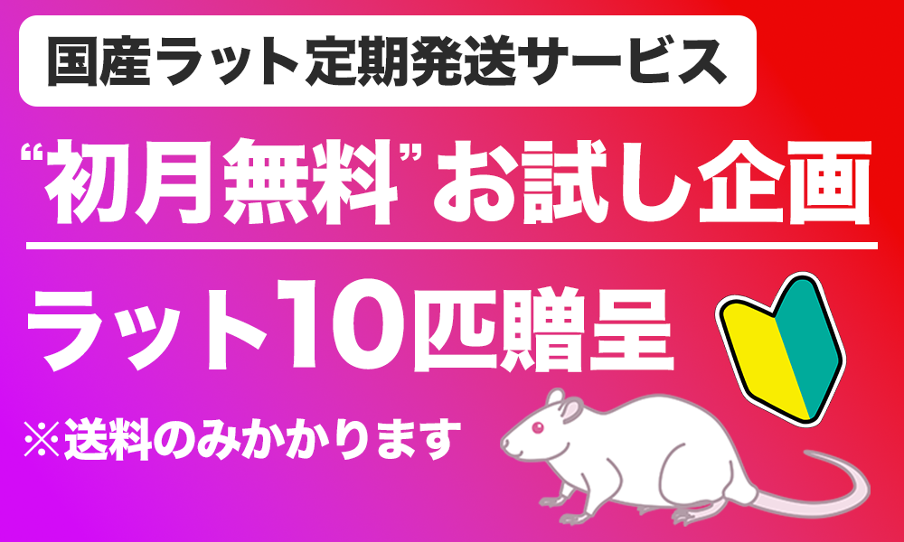 お試し限定キャンペーン】国産ラット定期配送サービス | ボール