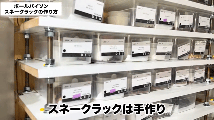 プロの裏仕事】スネークラックの作り方 | ボールパイソン専門店 DEU Reptiles