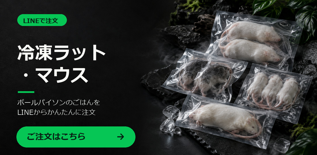 冷凍ラット・マウスをLINEで注文